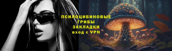 метадон Алексеевка