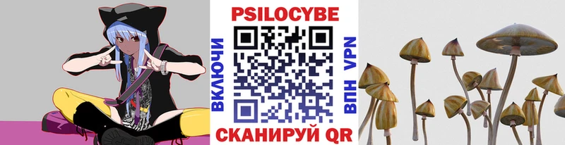 Галлюциногенные грибы прущие грибы  Щёлкино 